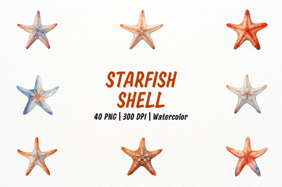 Elevate Your Projects with Realistic Starfish and Shell Clipart